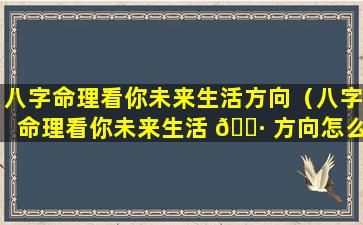 八字命理看你未来生活方向（八字命理看你未来生活 🕷 方向怎么样）